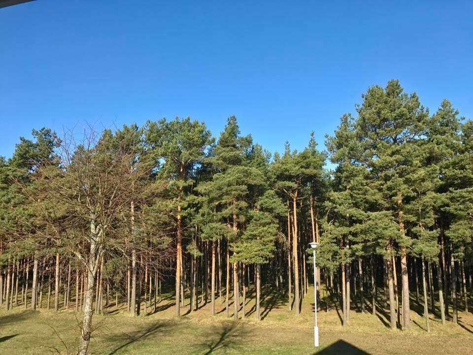 Kranto Vila Połąga Zewnętrze zdjęcie